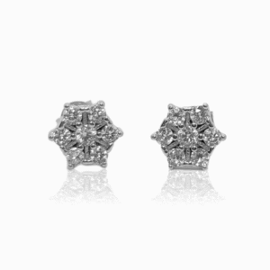 DEAANA 925 STERLING SILVER EARRINGS ZSTP026