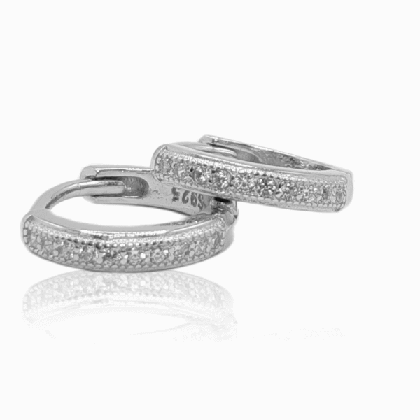 DEAANA 925 STERLING SILVER EARRINGS ZSTP036